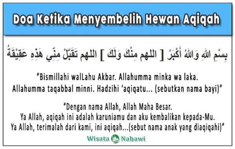 Terdapat juga definisi lain aqiqah yaitu nama rambut bayi yang baru dilahirkan. Jelaskan Kapan Waktu Penyembelihan Hewan Akikah ...