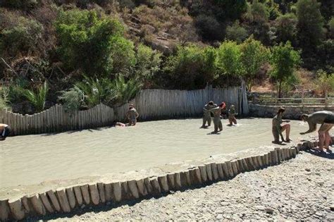 Dalyan Mud Bath Marmaris Turkey Holidify