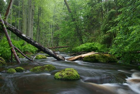 Nature photography - Wikiwand
