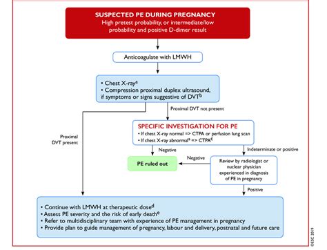 Diagnostic Workup And Management Of Suspected Pulmonary Embolism During Download Scientific