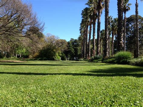 As the weather warms up the green lawns of the Williamstown Botanic