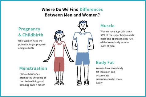 differences between the male and the female body are the work of female hormones differences