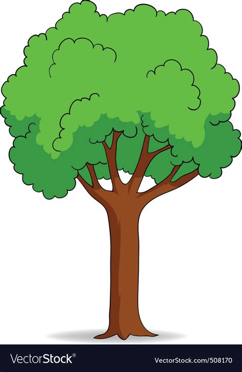 Cartoon Tree Isolated On White Background Vector Image