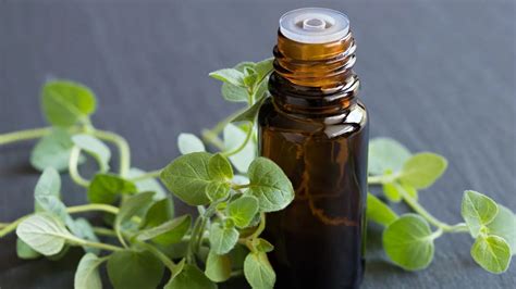 9 Benefits And Uses Of Oregano Oil