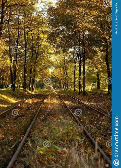 Old Railway Track In Autumn Landscape With Fallen Leaves Railroad In