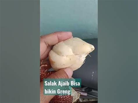 Salak Ajaib Bisa Bikin Greng - YouTube