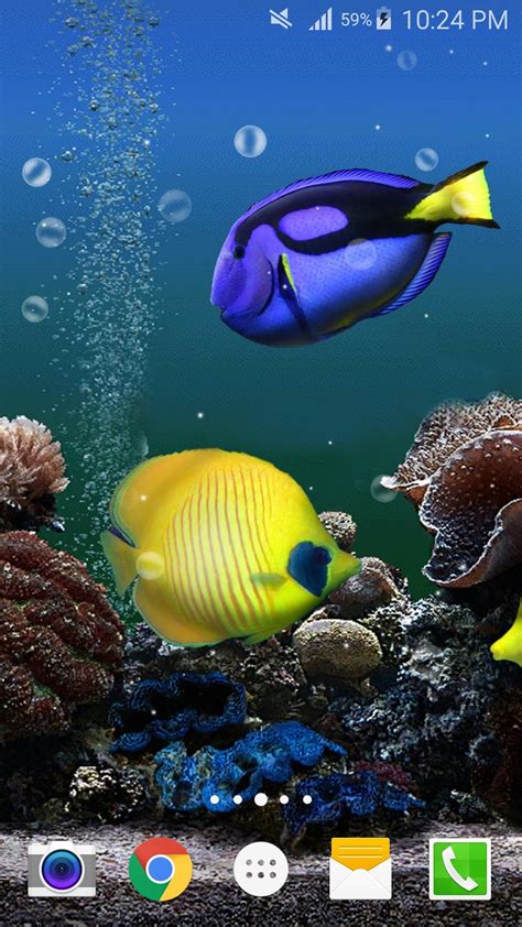 Ocean Fish Live Wallpaper Apk For Android Download