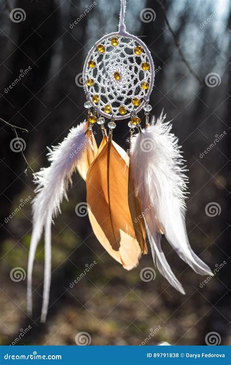 Dreamcatcher Made Of Feathers Leather Beads And Ropes Stock Photo