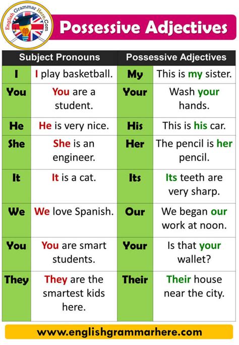 The introductory word generally has a grammatical function in the sentence. Possessive Adjectives and Possessive Pronouns, Definition ...