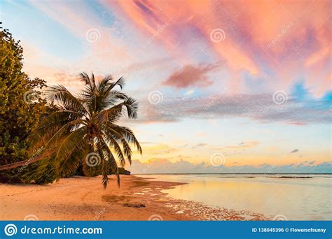 Sunset On Tropical Beach Silhouette Of Palm Trees And