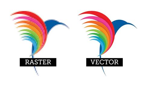 Raster Vs Vector Images The Important Differences Bpi Color