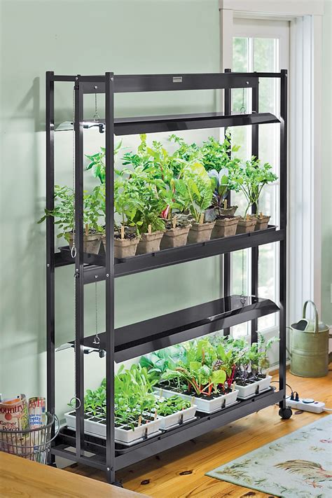 Get A Jump On Spring By Growing Your Own Herbs Indoors Buck And Sons