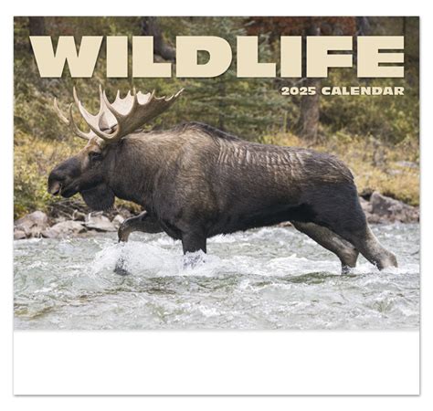2024 Wildlife Ii Promotional Wall Calendar 10 78 X 18 Personalized