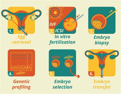 What Is Preimplantation Genetic Diagnosis