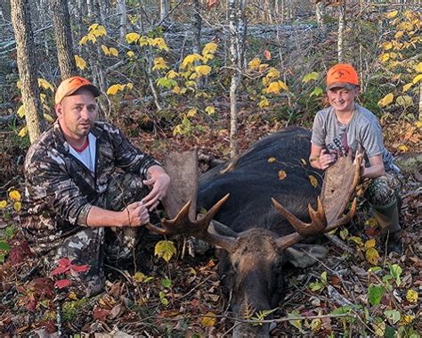 Maine Moose Hunting In Zones 10 14 And 9