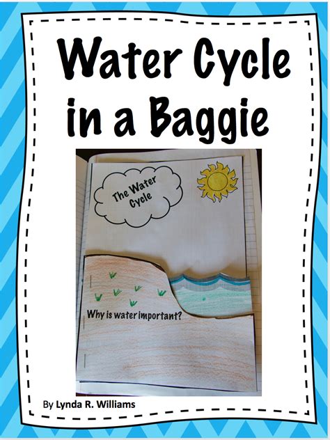 Teaching Science With Lynda The Water Cycle In A Baggie With