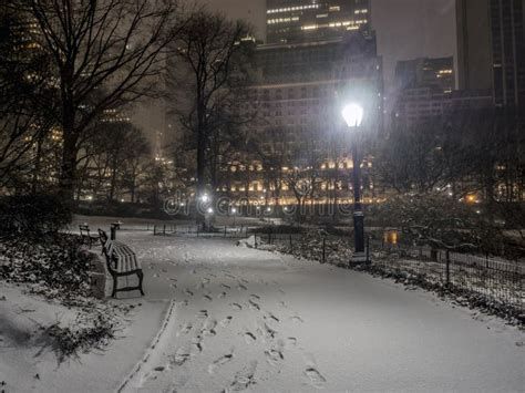 879 City Park Night Snow Storm Photos Free And Royalty Free Stock
