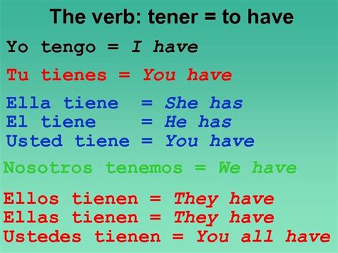 El Verbo Tener The Verb To Have