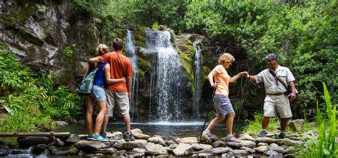Kohala Waterfall Adventure Hawaii Forest And Trail
