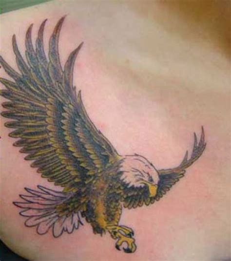 Eagle Tattoo Gallery 1 Fullbody Tattoos