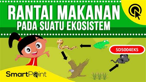 Tiap tingkatan rantai makanan disebut dengan tingkat trofik. Rantai Makanan pada Ekosistem (SmartPoint SD5004EKS) - YouTube