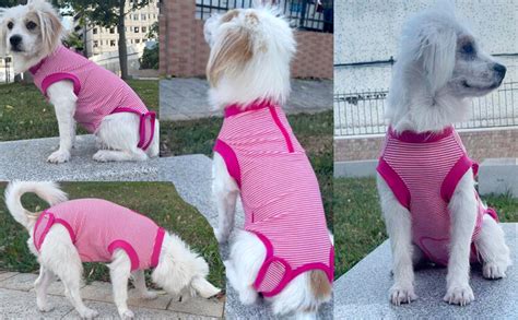Wabdhaly Female Dog Recovery Suit Pink Largespay Suit