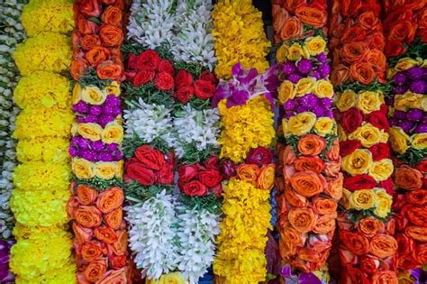 Flowers Which Are Cherished In India Bel India