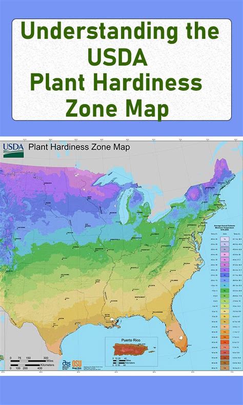 Understanding The Usda Plant Hardiness Zone Map Plant Hardiness Zone Map Plant Hardiness Zone