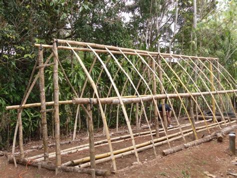 Share all sharing options for: 13 DIY High Tunnel Ideas to Build in Your Garden | Greenhouse farming, Bamboo garden, Greenhouse