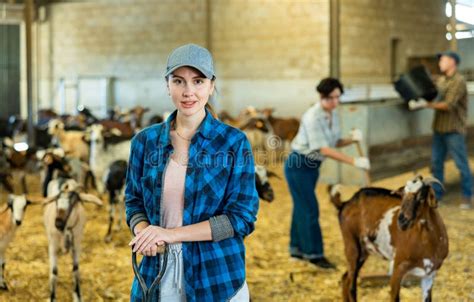 Positive Female Worker Of Livestock Farm Standing In Goat Stall Stock