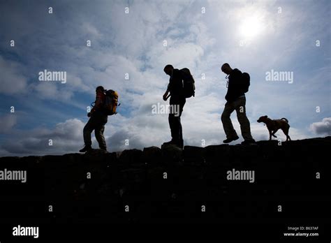 Mountains Of Mourne Dog Hi Res Stock Photography And Images Alamy