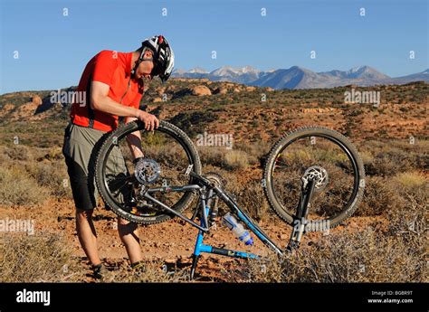 Mountain Biker Porcupine Rim Trail Castle Valley Moab Utah Usa