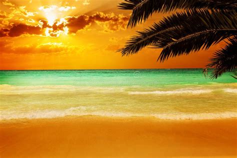 Sunset On A Stunning Caribbean Beach Stock Image Image Of