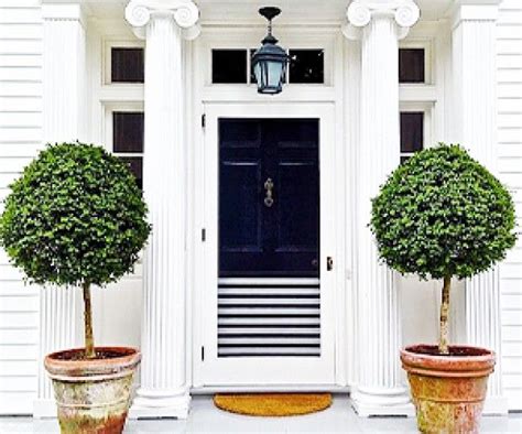 The 25 Best Potted Trees Ideas On Pinterest Patio