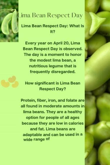 Lima Bean Respect Day Lima Beans Bean Legume Protein Fiber Iron Folate