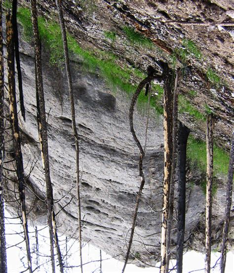 Detail Of The Barren Scorched Bedrock Note The Semi Barren