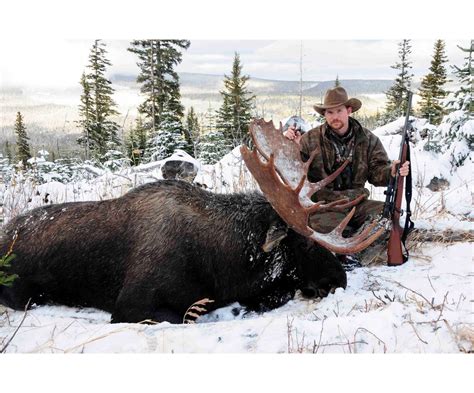 5 day traditional driven moose hunt for one hunter in sweden includes trophy fee dallas