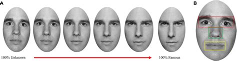 Frontiers Self Face Recognition In Schizophrenia An Eye Tracking Study