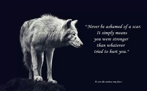 Pin By Krista Jones On Wolves Lone Wolf Quotes Wolf Quotes Warrior