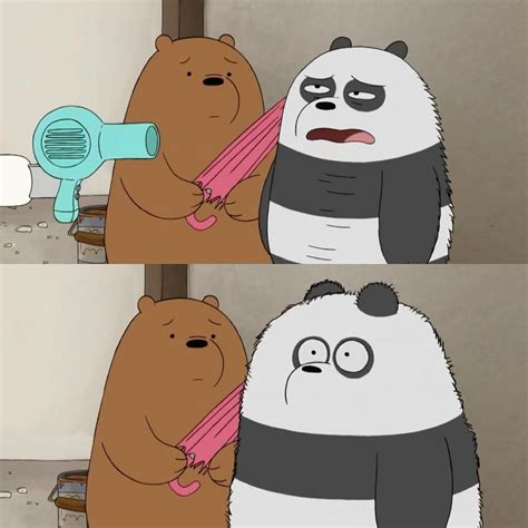 Tag A Person Below Who Is Panda 🐼😂💗 3 Bears Cute Bears Cartoon Memes