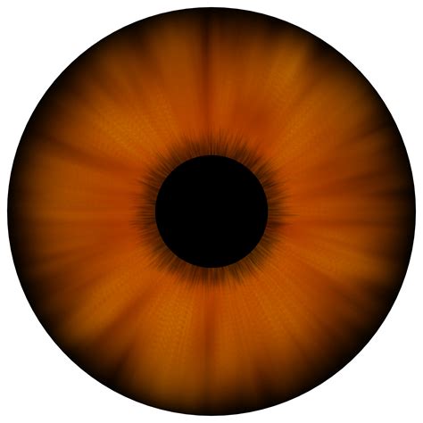 Brown Eye Texture By 3dhitman On Deviantart