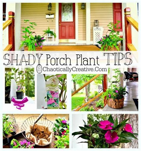 Yards And Curb Appeal Dreaming Gardens Porch Plants Plants