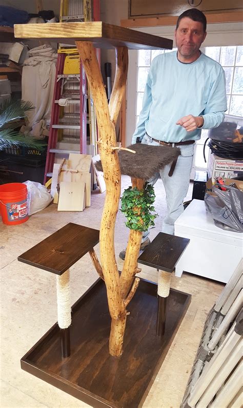 How To Make A Diy Cat Tree From A Real Tree Savvy Nana