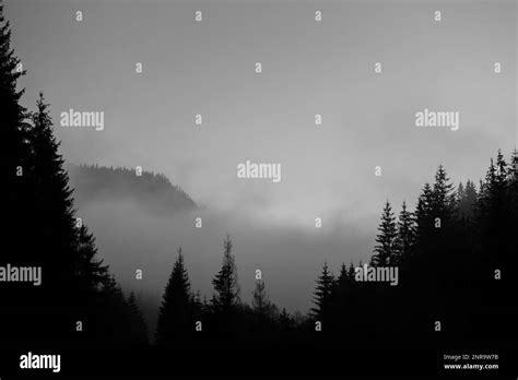 Landscape Of A Winter Landscape With Misty Mountains Stock Photo Alamy
