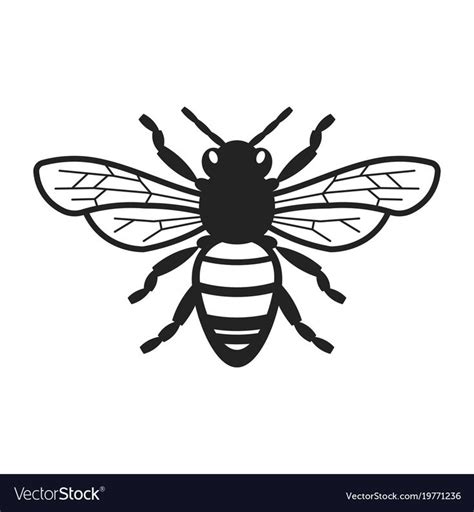 Honey Bee Royalty Free Vector Image Vectorstock Bee Illustration