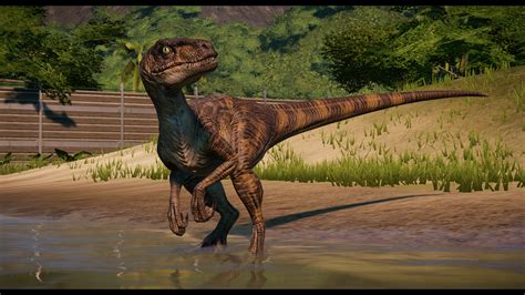 Velociraptor Skin Tweaks Jp And Tlw At Jurassic World Evolution Nexus Mods And Community