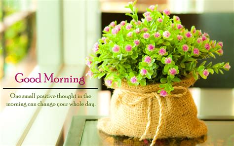 Good morning flower images free download must visit: Good Morning Quotes Flowers hd ... | Flower wallpaper ...