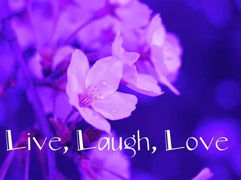 41 Live Love Laugh Wallpaper On Wallpapersafari