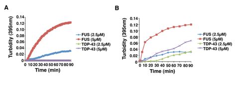 FUS Aggregates More Rapidly Than TDP 43 In Vitro A GST FUS Or