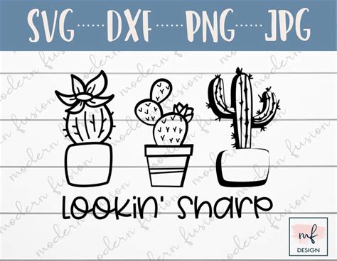 Lookin Sharp Svg Svg Files For Cricut Cactus Svg Cactus Etsy